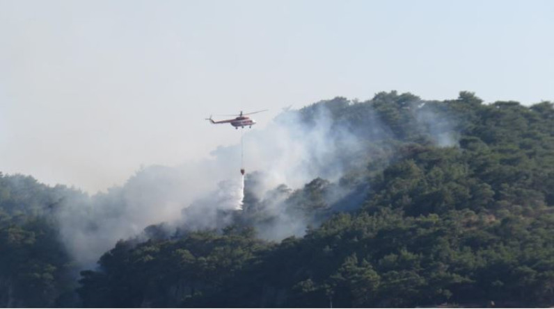 Çanakkale'nin Ayvacık ilçesinde çıkan orman yangını kontrol altına alındı