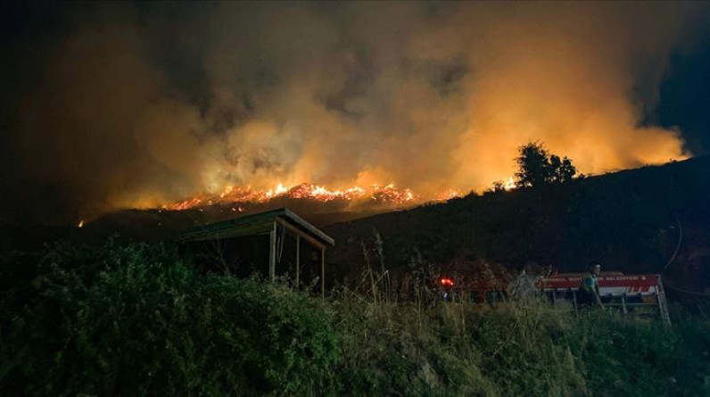 Sarıyer'de otluk alanda çıkan yangına müdahale ediliyor